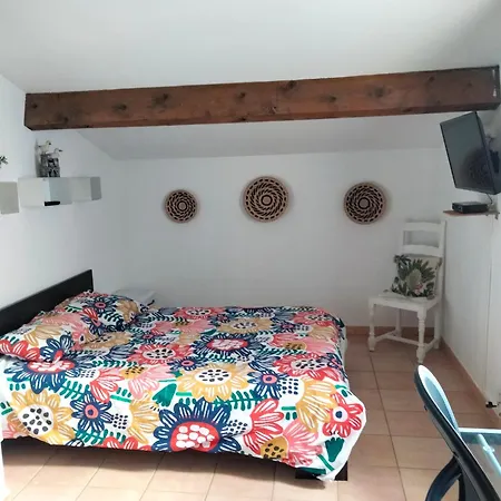 Maison Avec Piscine * Aigues-Mortes